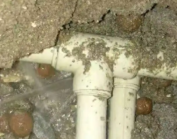 兴隆台测漏水多少钱