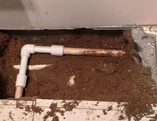 兴隆台测漏水哪家好