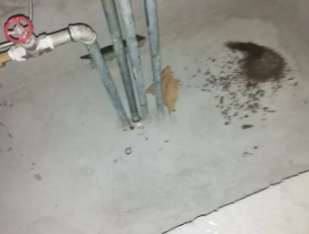 兴隆台卫生间测漏水价格明细