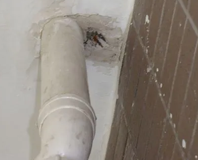 兴隆台漏水检测哪家好